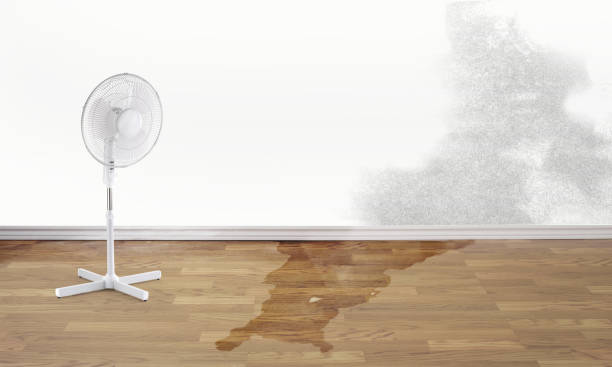 Best Sewage cleanup and water damage restoration  in Ingleside, TX