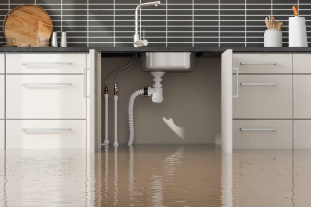 Best Local water damage restoration  in Ingleside, TX